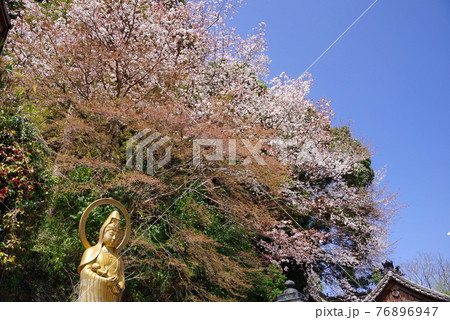 大和路の花の御寺 長谷寺の子安観音 大和路の花の御寺 長谷寺の子安観音 76896947