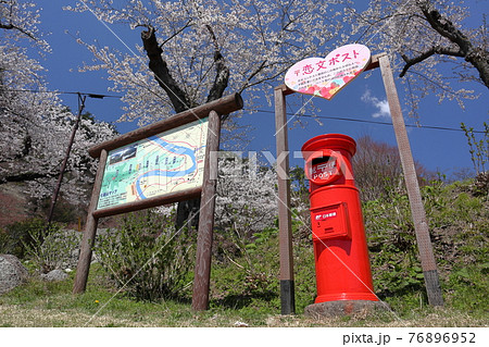 きみまち阪公園のさくらとポスト 76896952