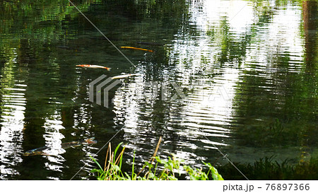 阿蘇の明神池 76897366