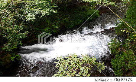 阿蘇の白水水源 76897376