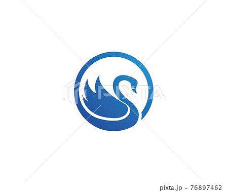 Swan logo Template vector 76897462