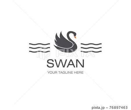 Swan logo Template vector 76897463