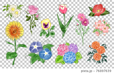 手描きの花のイラストセット透過のイラスト素材