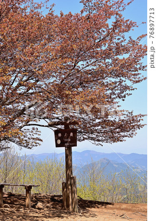 埼玉県 棒ノ峰(棒ノ折)山頂 76897713