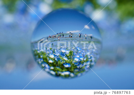 宙玉レンズ、ネモフィラ 76897763