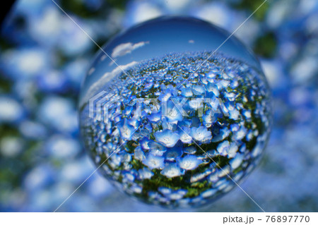 宙玉レンズ、ネモフィラ 76897770