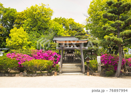 誉田八幡宮 恵比寿社 (大阪府羽曳野市誉田) 誉田八幡宮 恵比寿社 (大阪府羽曳野市誉田) 76897994