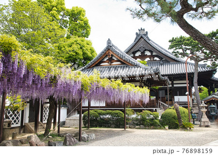 葛井寺 (大阪府藤井寺市藤井寺) 葛井寺 (大阪府藤井寺市藤井寺) 76898159