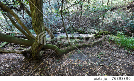 阿蘇の池山水源 阿蘇の池山水源 76898390