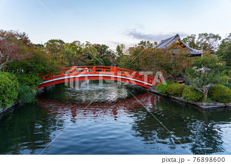 神泉苑の法成橋と法成就池 76898600