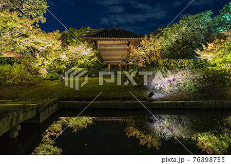 東寺の宝蔵ライトアップ 76898735