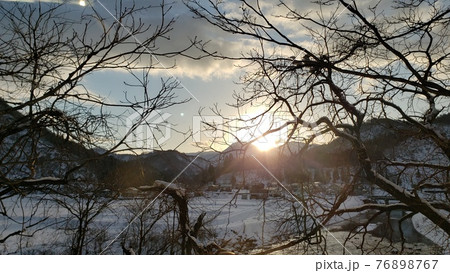 夕暮れと木々 76898767