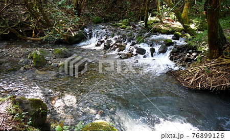 阿蘇の池山水源 阿蘇の池山水源 76899126