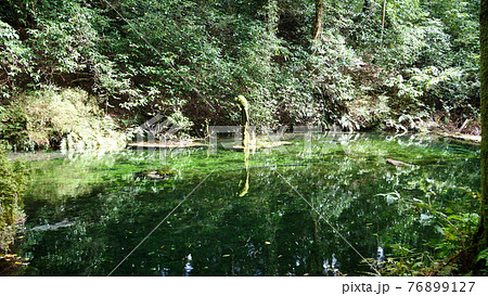 阿蘇の池山水源 阿蘇の池山水源 76899127