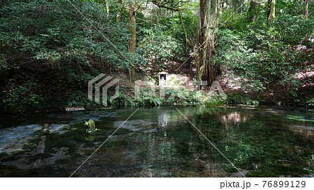 阿蘇の池山水源 76899129