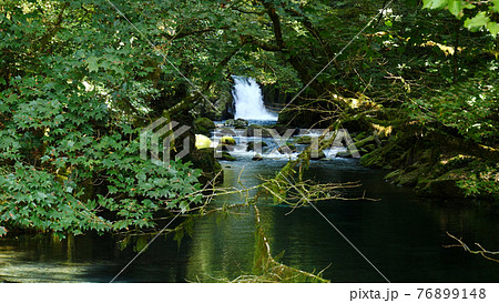 阿蘇の菊池渓谷 阿蘇の菊池渓谷 76899148