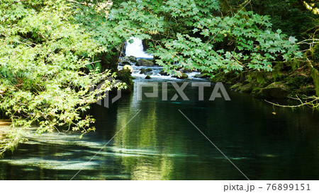 阿蘇の菊池渓谷 阿蘇の菊池渓谷 76899151