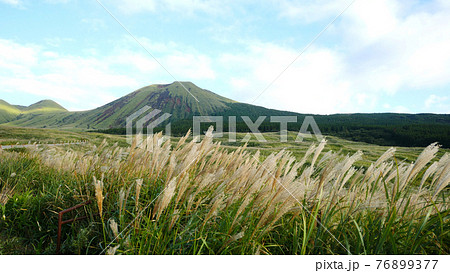 阿蘇の杵島岳とすすき 阿蘇の杵島岳とすすき 76899377