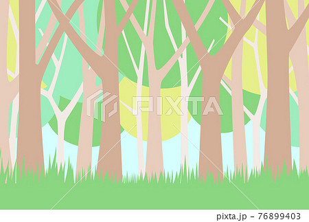 夏が来て草木が生い茂る木立の美しい森のイラストのイラスト素材