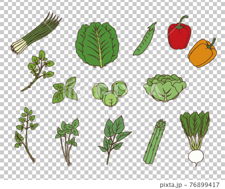 緑黄色野菜02-カラー 緑黄色野菜02-カラー 76899417