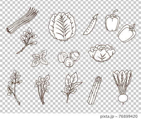 綠色黃色蔬菜 02-線描 76899420