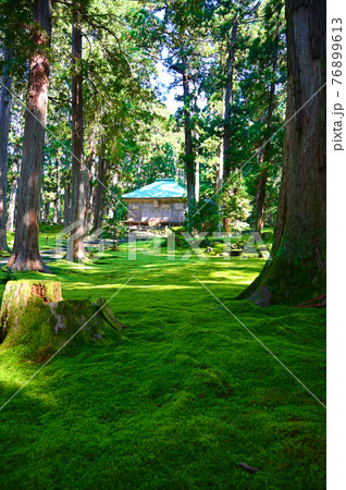 平泉寺白山神社　拝殿　苔　勝山市 76899613