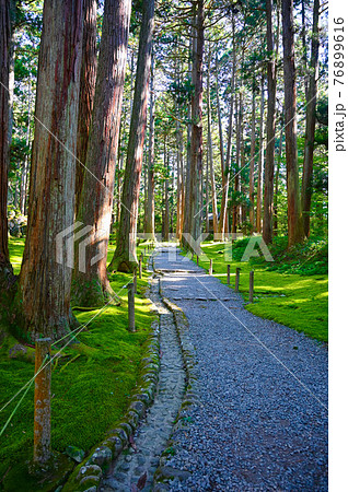 平泉寺白山神社　苔と参道　勝山市 76899616