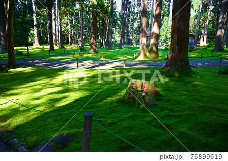 平泉寺白山神社　苔の寺　勝山市 76899619