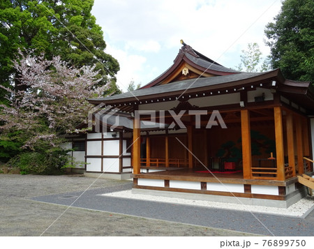葉桜が美しく咲く東京杉並区の神社・阿佐ヶ谷神明宮 葉桜が美しく咲く東京杉並区の神社・阿佐ヶ谷神明宮 76899750