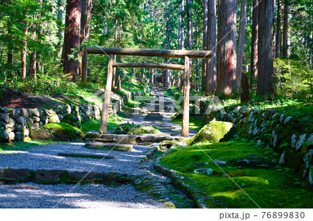 平泉寺白山神社　三の宮　参道　勝山市 76899830