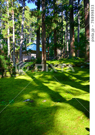 平泉寺白山神社　拝殿と苔　勝山市 76899833