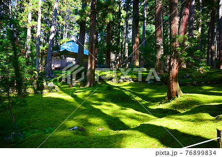 平泉寺白山神社　拝殿と苔　勝山市 76899834