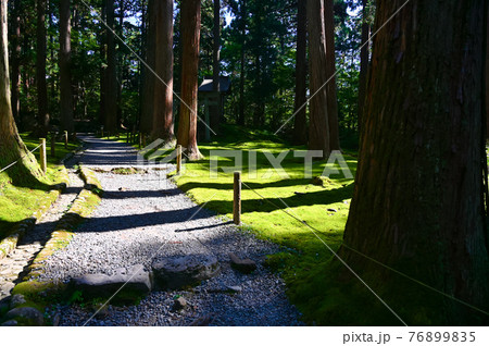 平泉寺白山神社　苔の寺　参道　勝山市 76899835