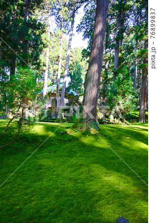 平泉寺白山神社　苔の寺　勝山市 76899837