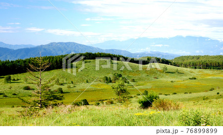 霧ヶ峰湿原植物群落 76899899