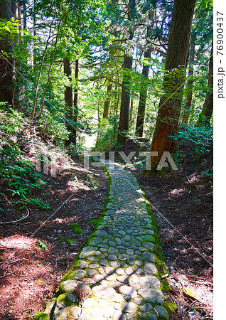 平泉寺白山神社　南谷発掘地　中世の石畳　勝山市 76900437