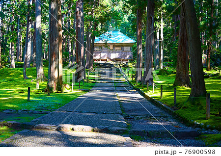 平泉寺白山神社 拝殿 参道 勝山市 平泉寺白山神社 拝殿 参道 勝山市 76900598