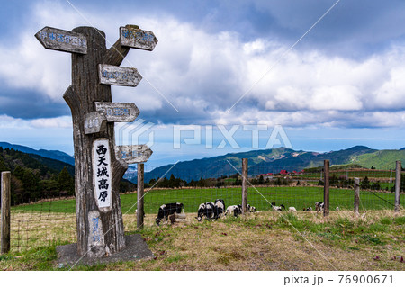 （静岡県）西天城高原「牧場の家」　放牧場の牛 76900671