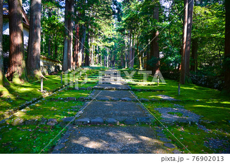 平泉寺白山神社　参道　国史跡白山平泉寺旧境内　勝山市 76902013