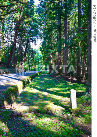 平泉寺白山神社　旧参道　日本の道百選　石碑 76902714