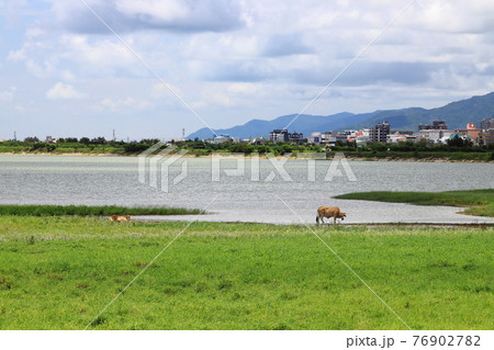 台湾 景色 風景 76902782