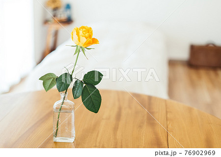 部屋に飾った薔薇の花　 76902969
