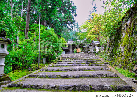 西明寺・高山寺 materials digitalstage