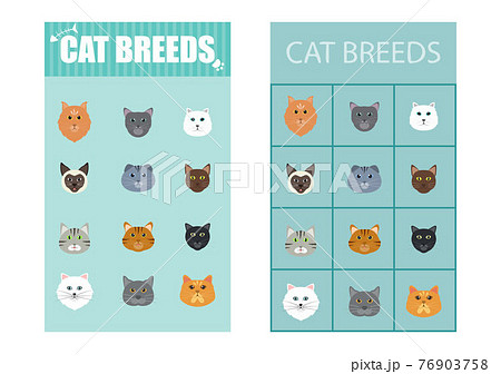 Group of Cute Cat Breeds List Cartoon Animal Illustration To Background or Wallpaper 76903758