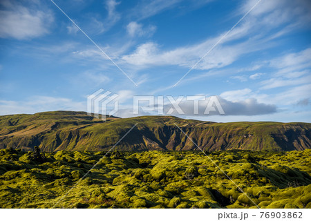 moss cover on volcanic landscape of Iceland moss cover on volcanic landscape of Iceland 76903862