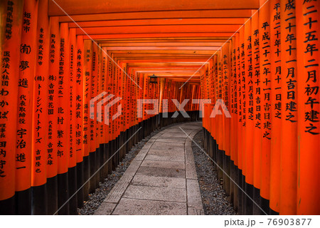 Fushimi Inari shrine in Kyoto, Japan 76903877