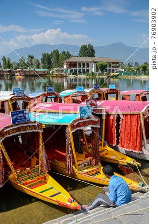 Dal lake at Srinagar, Kashmir, India Dal lake at Srinagar, Kashmir, India 76903902