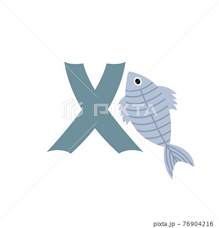 X-ray fish animal alphabet symbol. English letter X isolated on white background. Funny hand drawn style character. Learn kids to read with cute toy illustration X-ray fish animal alphabet symbol. English letter X isolated on white background. Funny hand drawn style character. Learn kids to read with cute toy illustration 76904216