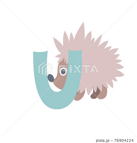 Urchin animal alphabet symbol. English letter U isolated on white background. Funny hand drawn style character. Learn kids to read with cute toy illustration 76904224