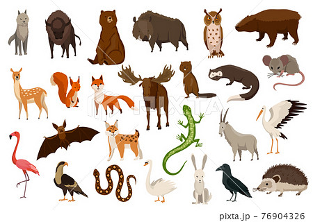 動物画集 ANIMALS イラスト集 動物画集 ANIMALS イラスト集 動物画集 ANIMALS イラスト集